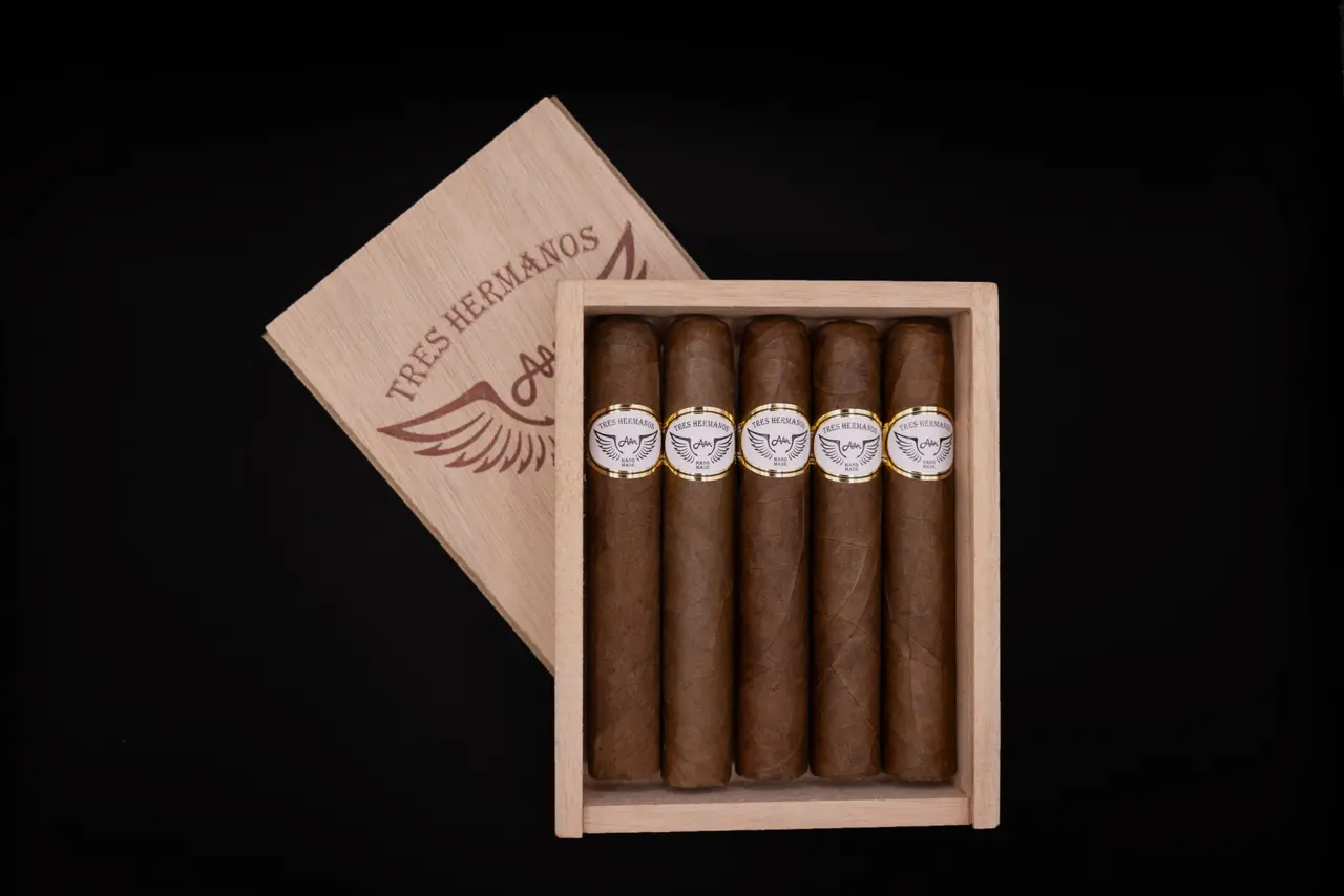 N°3: Robusto, vue 3